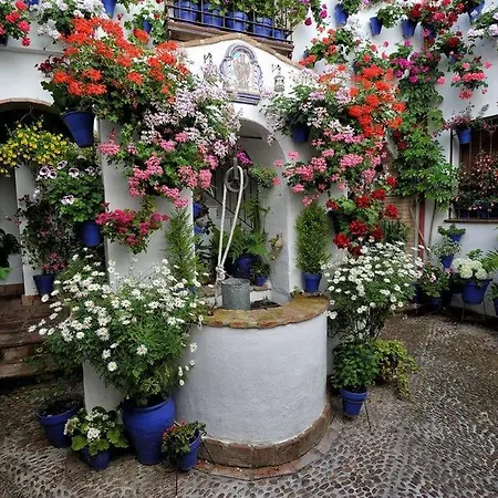 Puerta De Córdoba- Exterior Con Balcones *