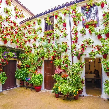 Puerta De Cordoba- Exterior Con Balcones Apartment *