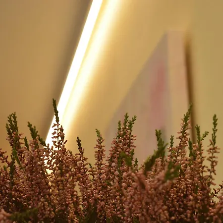 Appartamento Puerta De Cordoba- Exterior Con Balcones