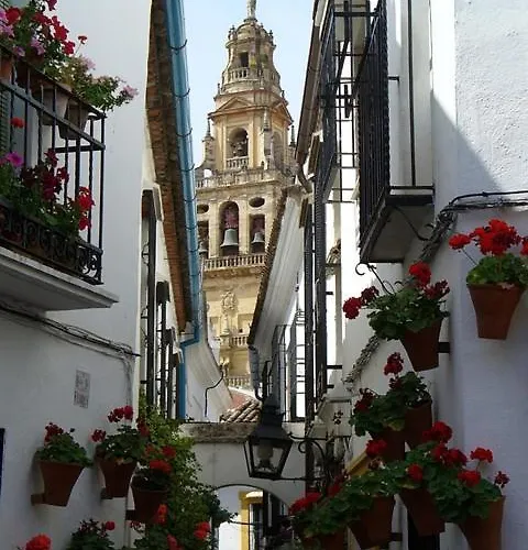 Puerta De Cordoba- Exterior Con Balcones *