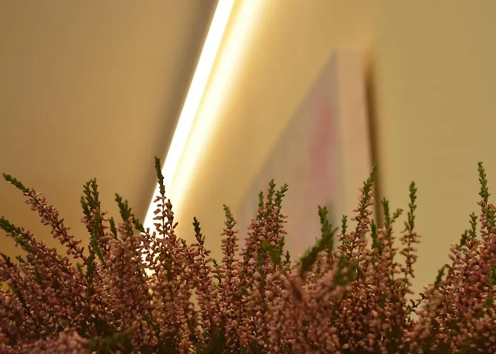 Appartamento Puerta De Cordoba- Exterior Con Balcones